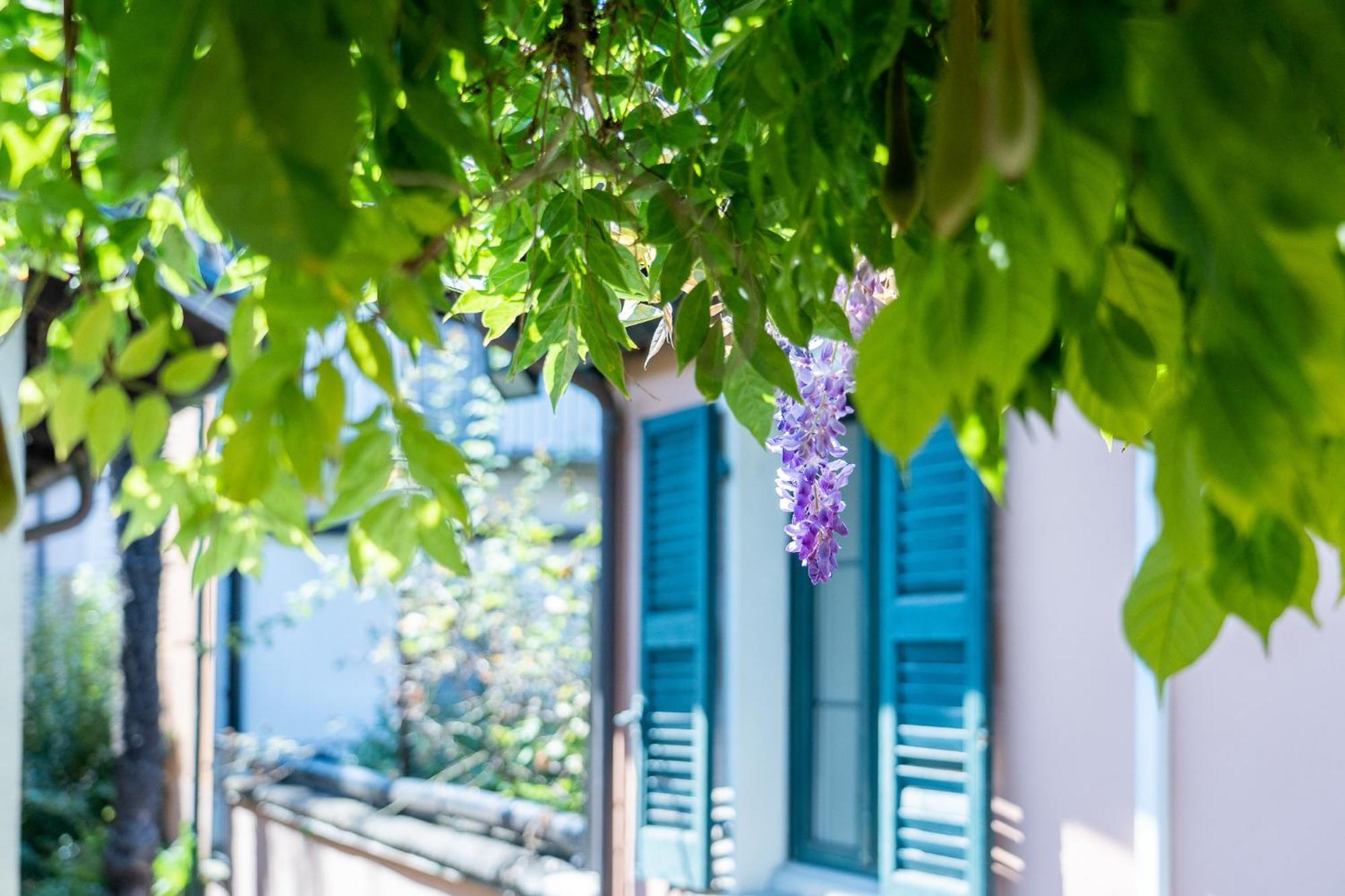 Seven Boutique Hotel Аскона Екстериор снимка